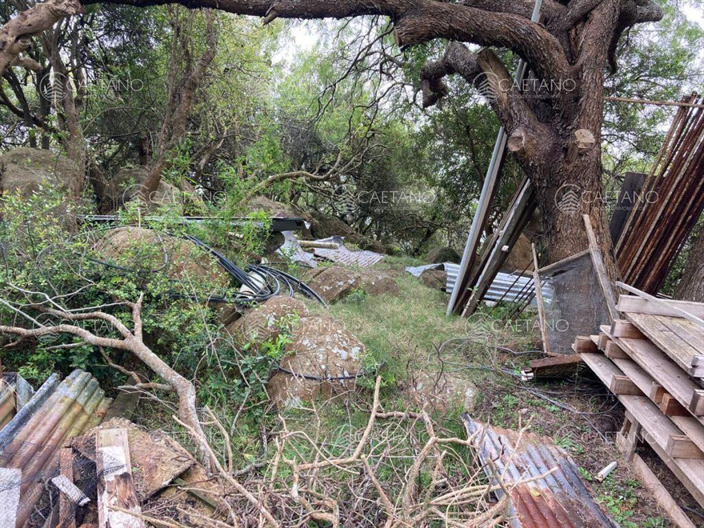 Venta chacra 7 hectáreas, Ruta 39