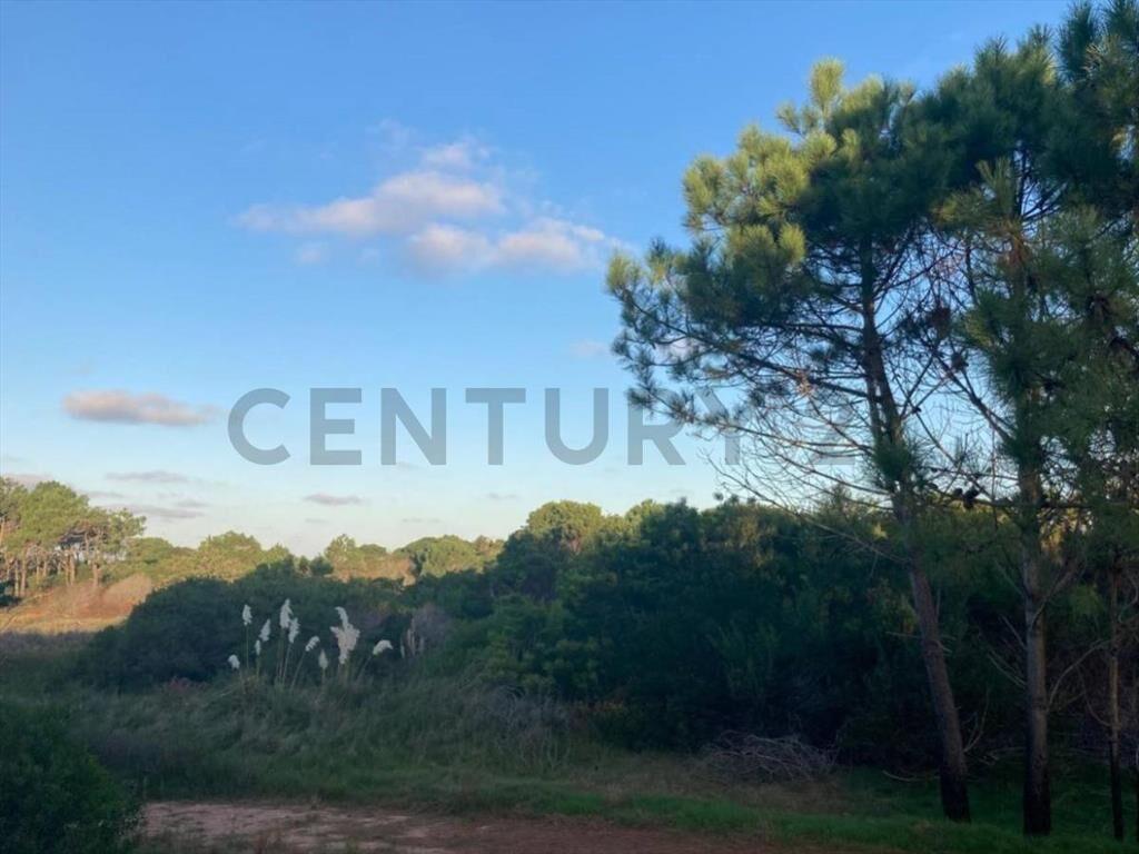 VENTA 4 TERRENOS LA ESMERALDA