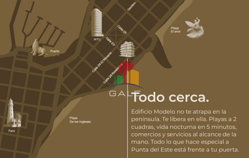 PROYECTO MODELO, nuevo lanzamiento en Punta del