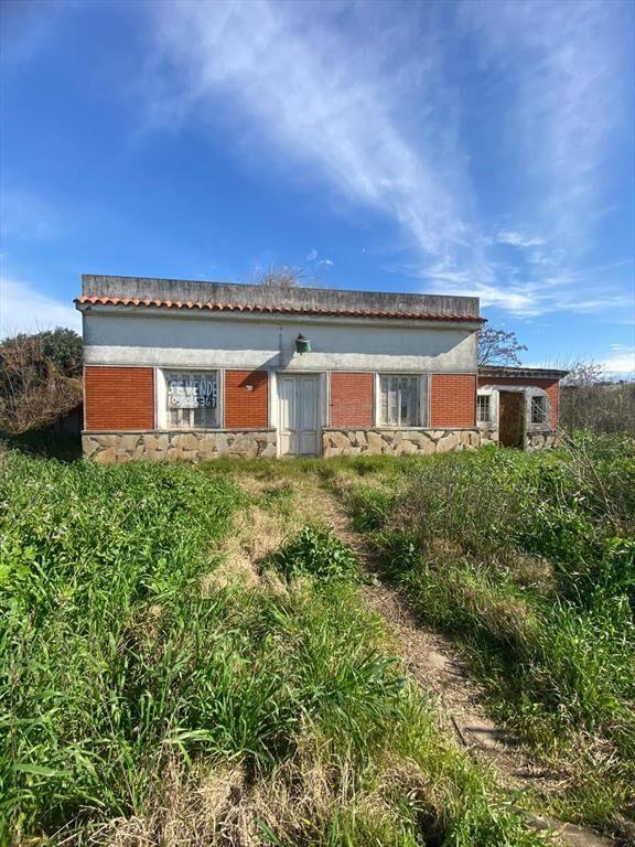 Venta Terreno fértil de 3 hectáreas con casa a reciclar en