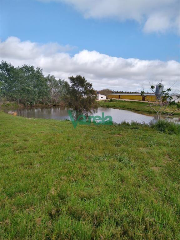 Venta Granja Avícola de 5,6 Has sobre ruta 11