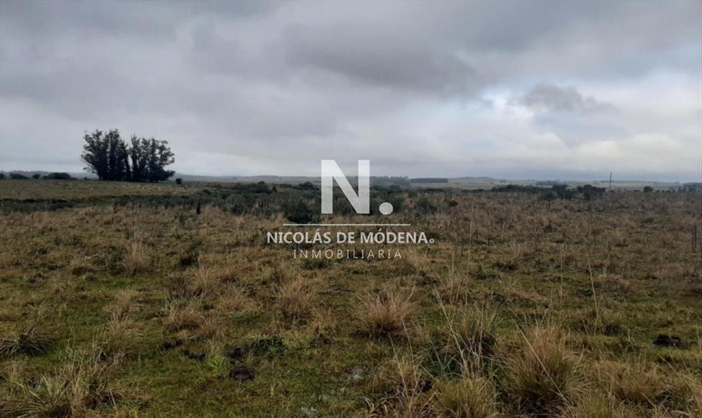 Campo en Maldonado - Garzon en venta.
