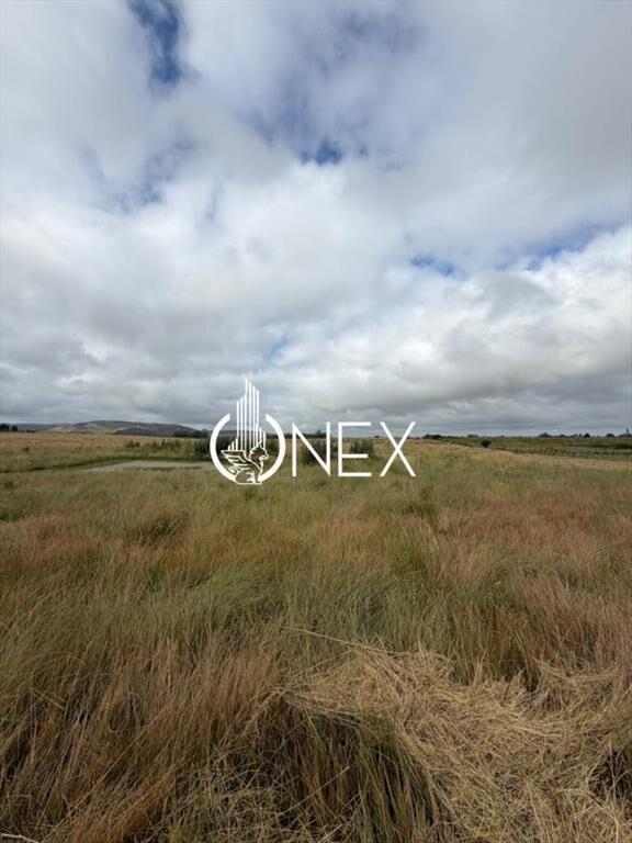 Venta de campo en Aiguá, Maldonado.