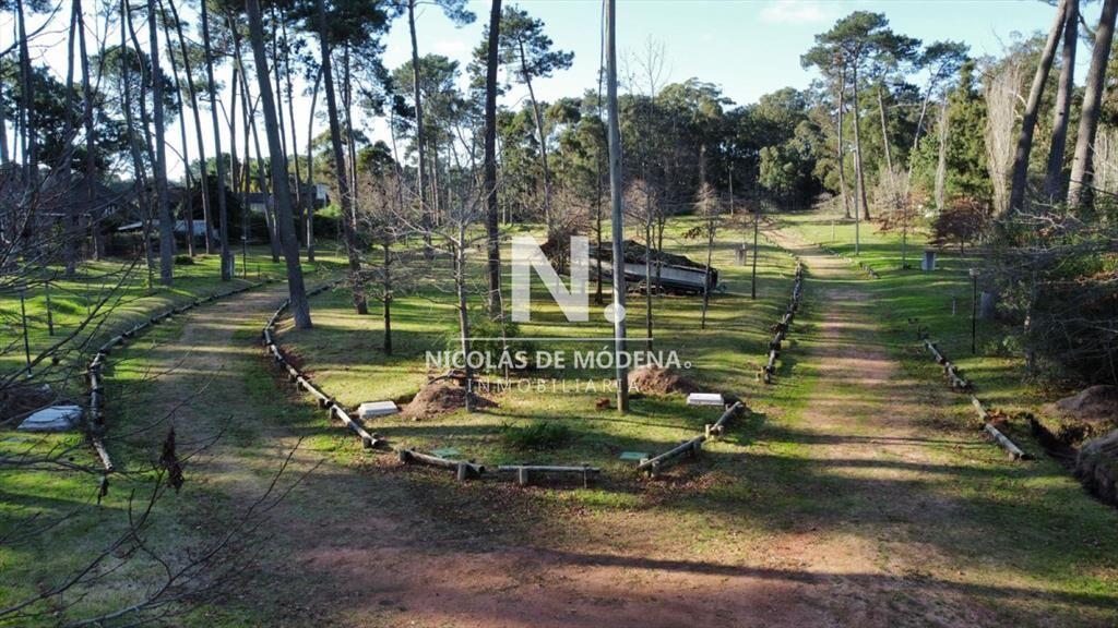 Oportunidad de inversión, en Pinares Punta del