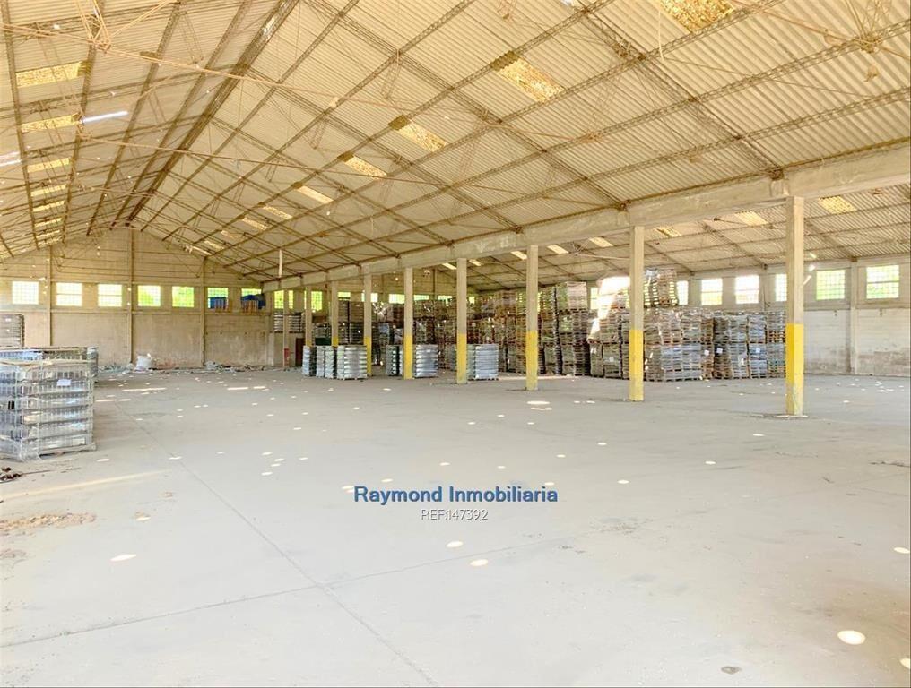 Terreno de 33.270m2 en Camino Cibils y Tomkinson.