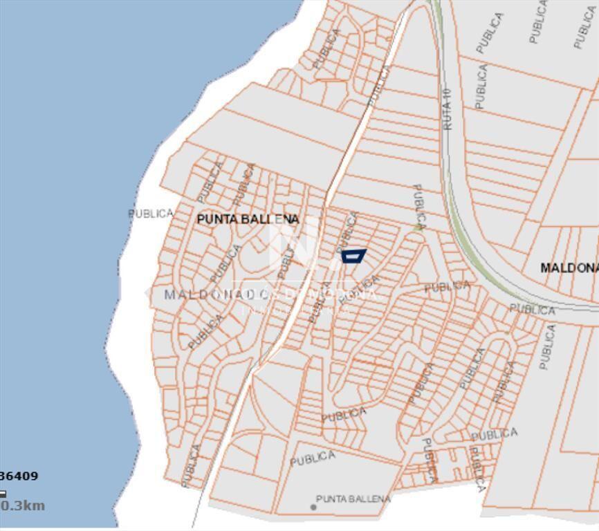 Terreno en Punta Ballena Punta del Este en venta