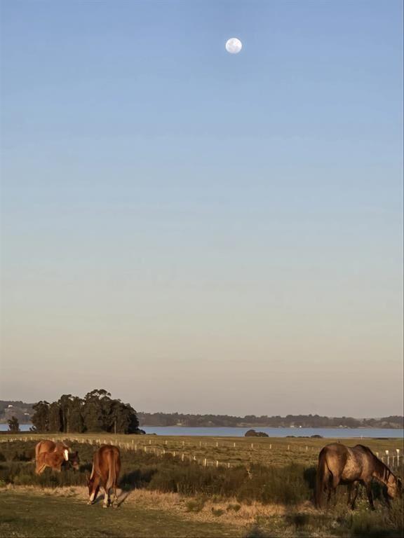 Chacras de 5 hectareas en laguna del sauce