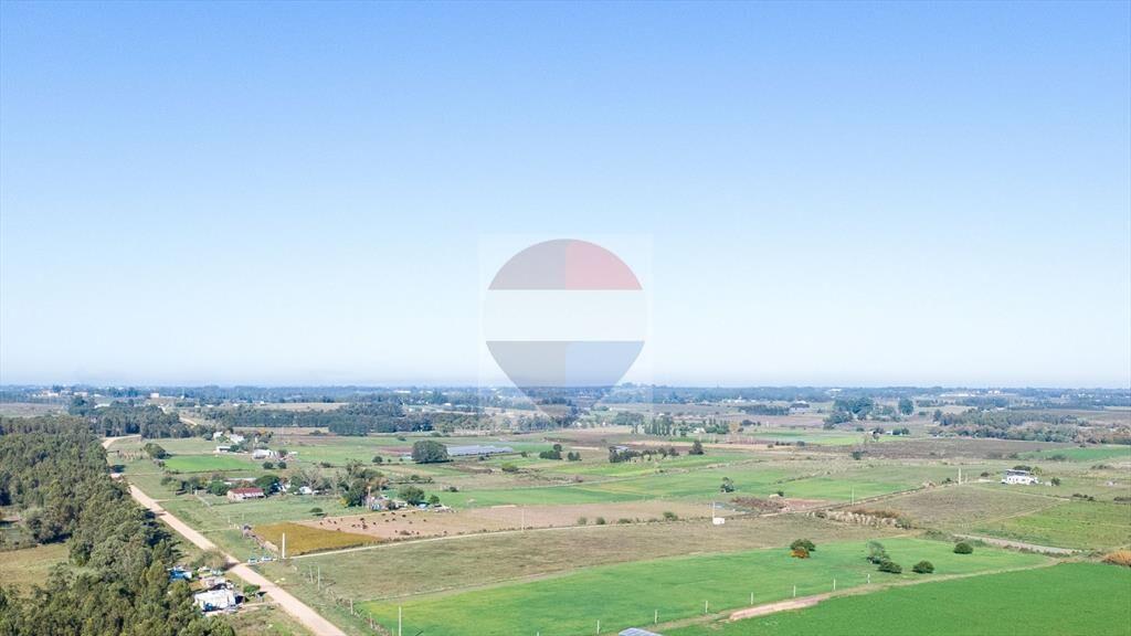 VENTA DE CAMPO 4 HECTAREAS CON TAJAMAR RUTA 75