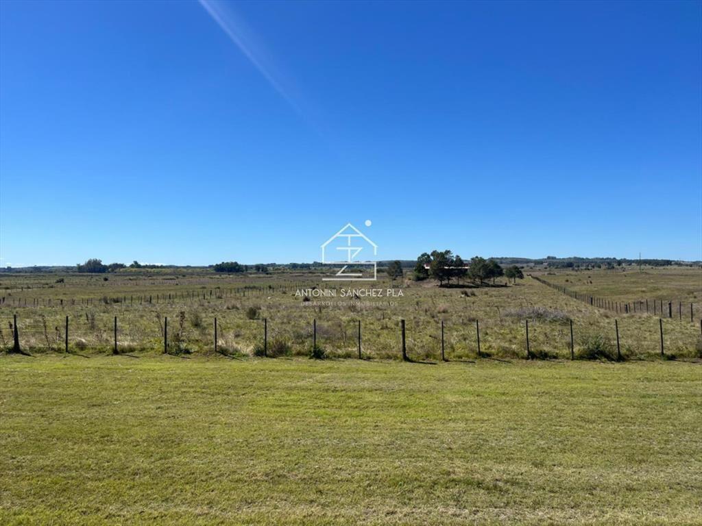 VENTA CHACRA 40 HECTAREAS RUTA 39