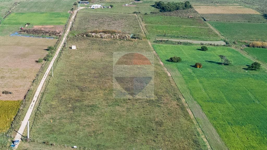 VENTA DE CAMPO 4 HECTAREAS CON TAJAMAR RUTA 75