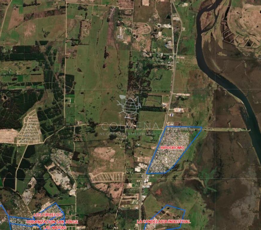 ATENCIÓN INVERSORES! Campo de 44 Hectáreas muy