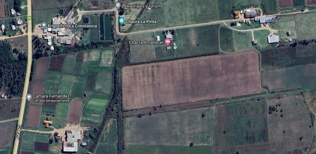 Venta 3Ha. de campo sobre Ruta 75 Km. 37 Pando