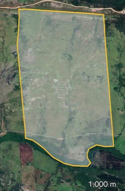 Campo de 200 hás en el departamento de Maldonado