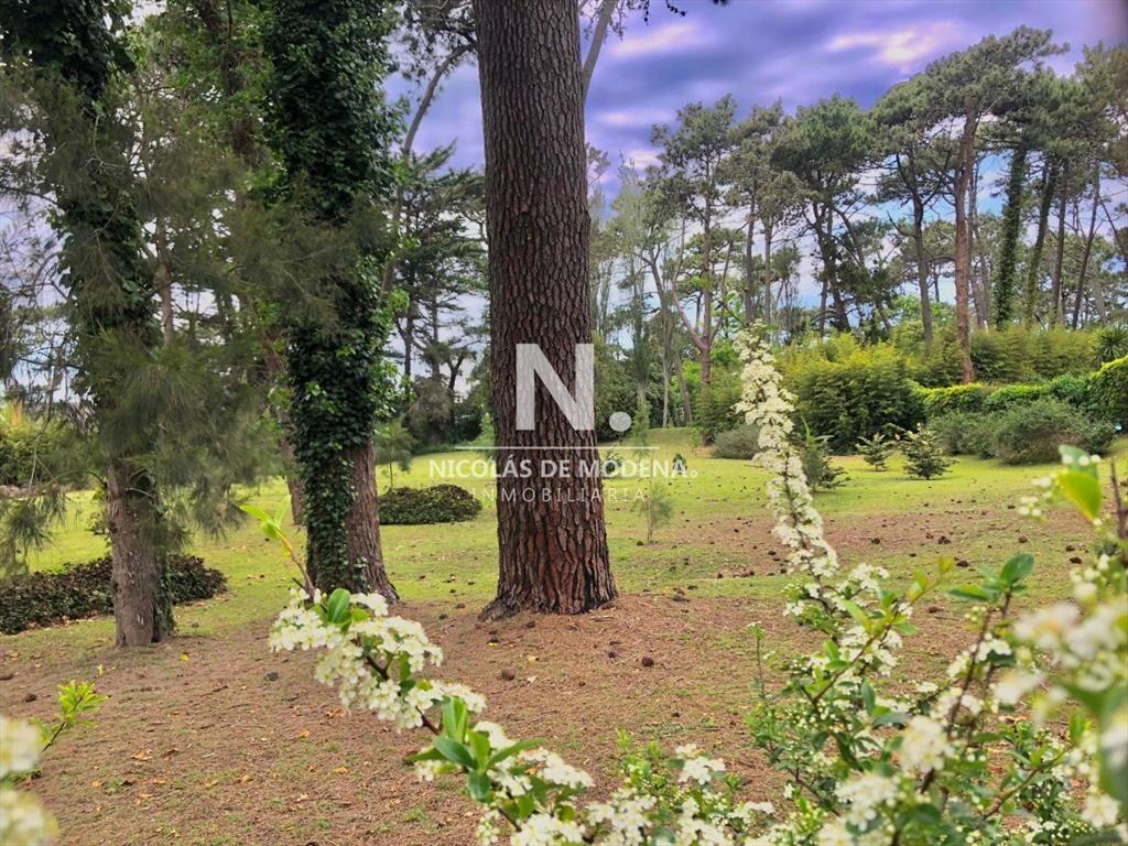 Lote en venta en Playa Brava, Punta del Este