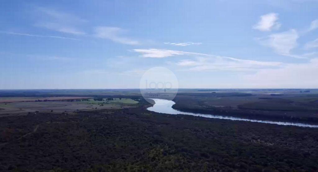 Venta de Campo en Soriano de 264ha, zona del Cololo