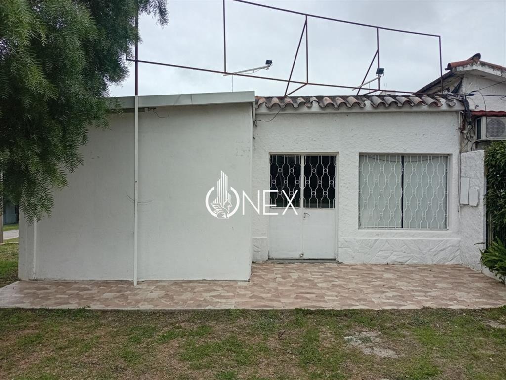 2 Casas y un local con cÃ¡mara de frÃ­o en venta