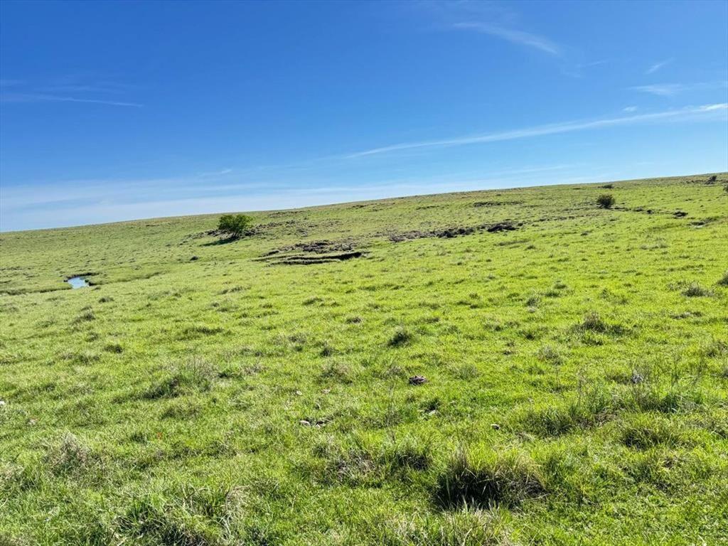 VENTA DE CAMPO GANADERO – 694 HAS. EN RIO NEGRO
