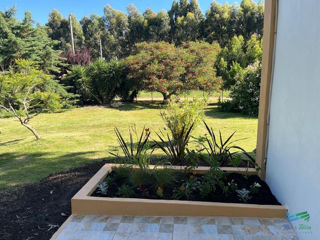 En venta chacra de 6 hectareas con casa a 1 hora