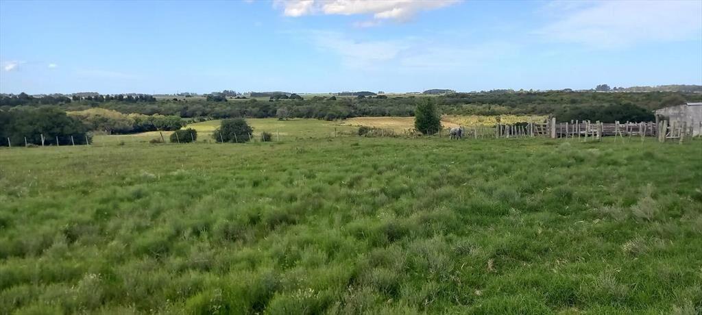 Campo en Rocha