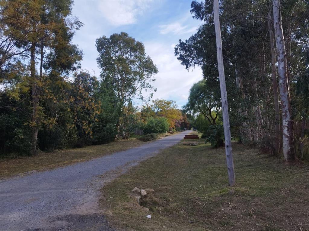 Terreno en Los Pinos