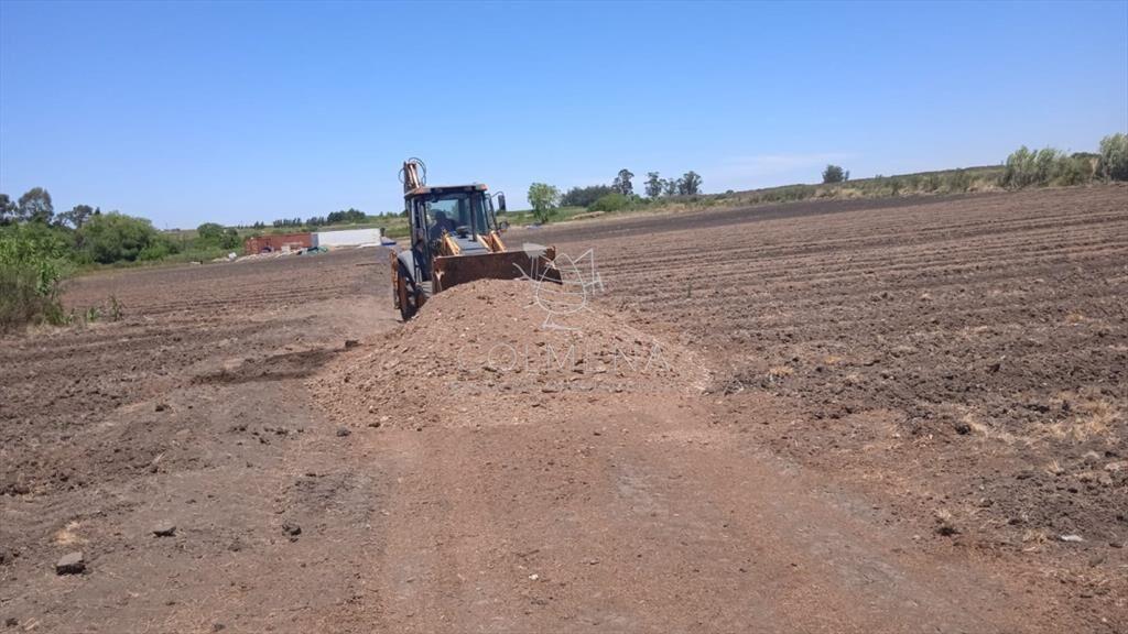Excelente OPORTUNIDAD de inversión Campo 6,7Has