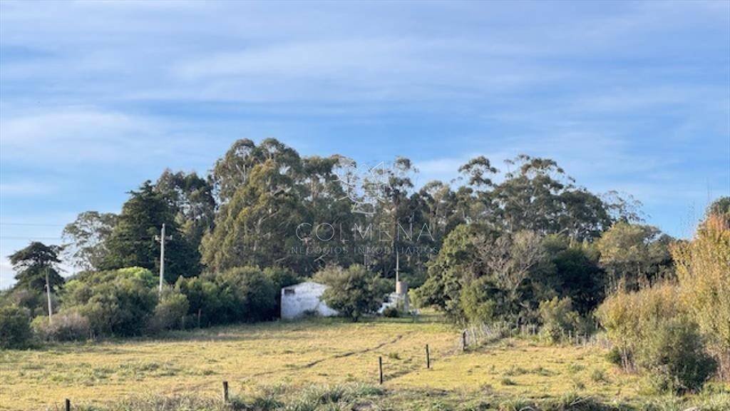 Campo de 4 has 1602 m2 muy cerca de ruta 12 y la