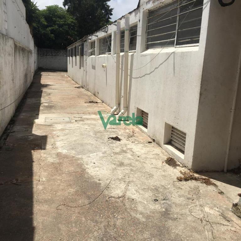 VENTA PUNTA GORDA LOCAL COMERCIAL