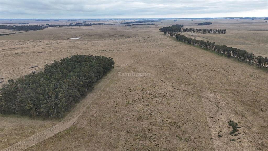 Estancia Ganadera Agrícola 1700 ha en Treinta y Tres