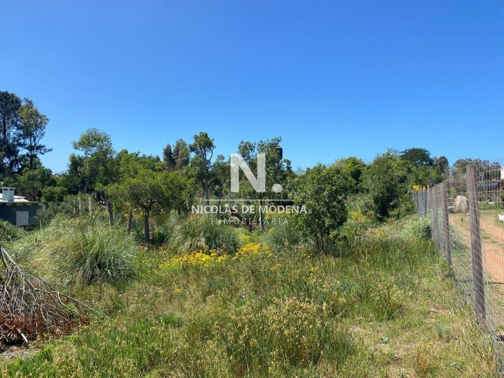 Terreno en barra verde