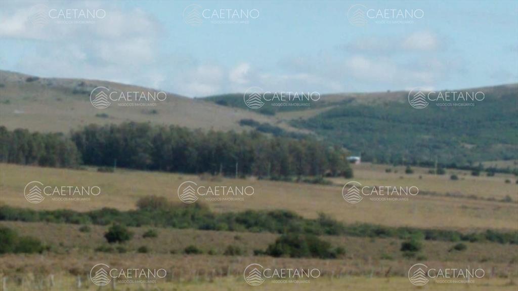 Chacra en venta, San Carlos, zona Partido Norte
