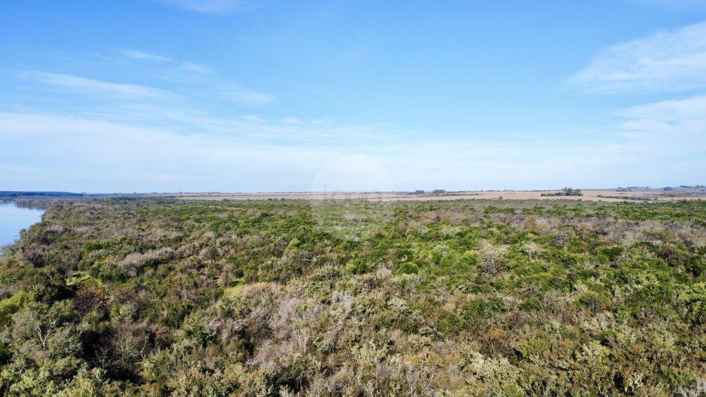 Venta de Campo en Soriano de 264ha, zona del Cololo