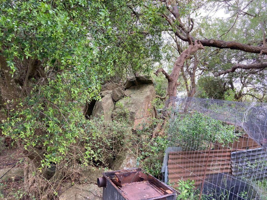 Venta chacra 7 hectáreas, Ruta 39