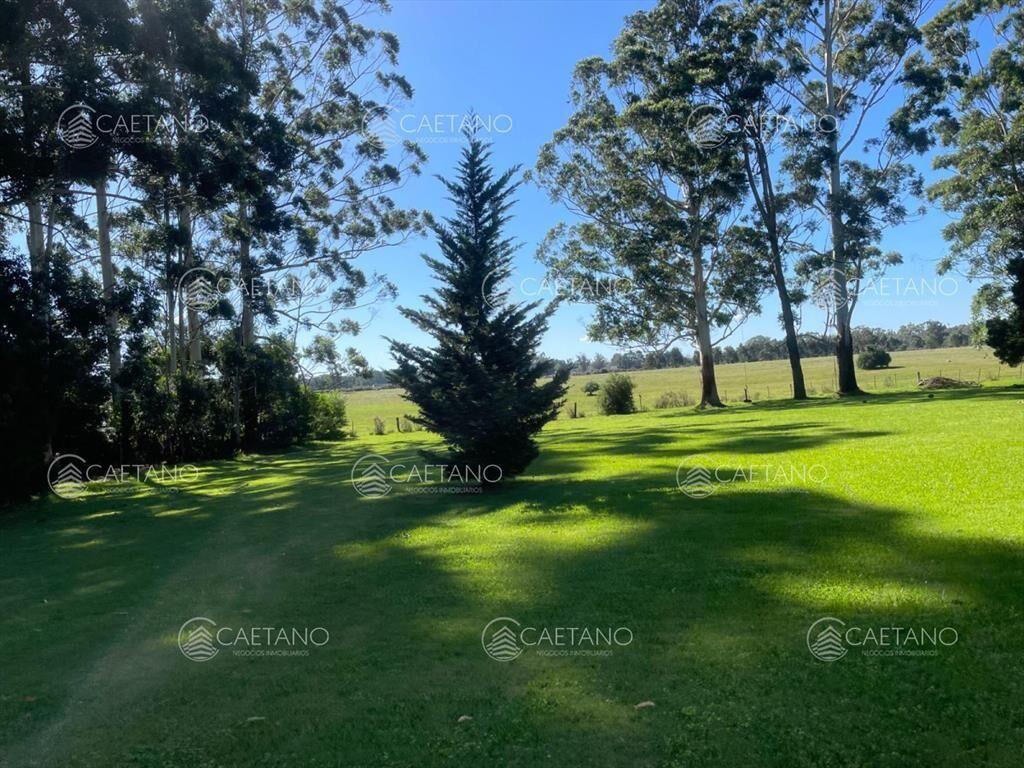 Vende impresionante casa en Punta Ballena de 2