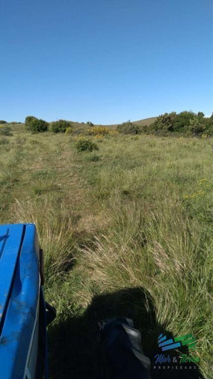Linda fracción de campo ganadero con aptitud