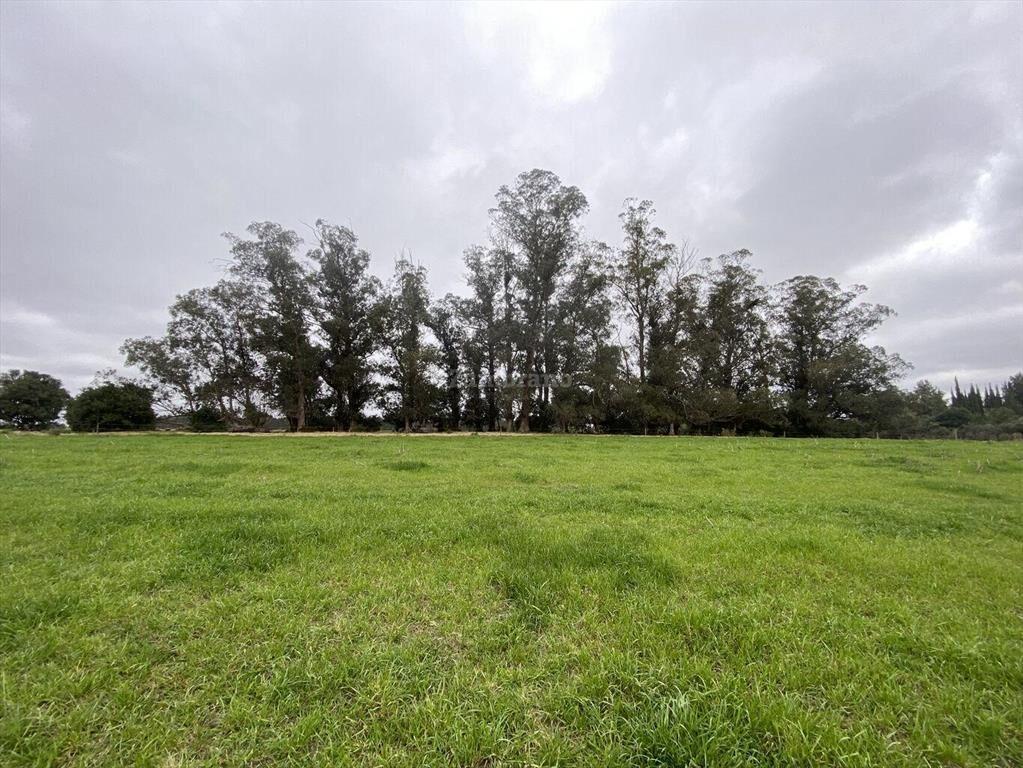 Campo Ganadero I Maldonado I 313 has