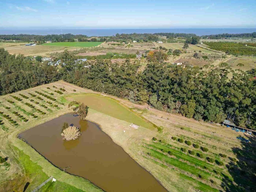 VENTA DE CHACRA 20 has EN PUNTA ESPINILLO