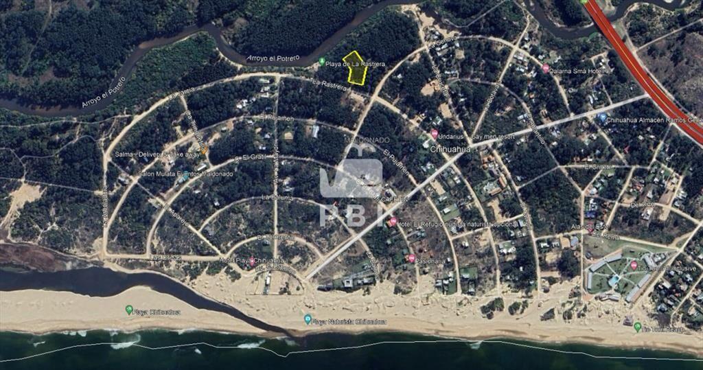 Terreno en Chihuahua, Punta Ballena - Ref : PBI3045