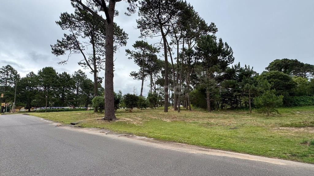 2 TERRENOS CON EXCELENTE UBICACIÓN EN PUNTA DEL ESTE