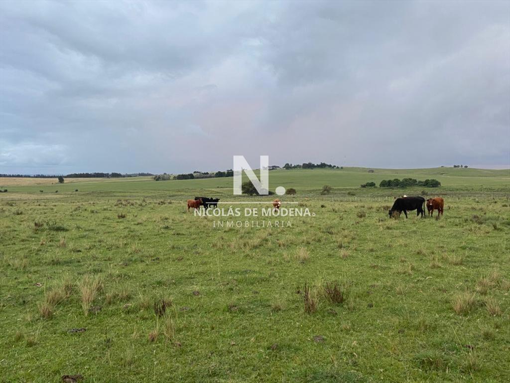 Vende Campo en Ruta 104. Punta del Este