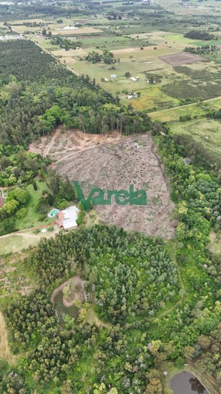 Venta Chacra Toledo Sobre Ruta 6, 14 has salones