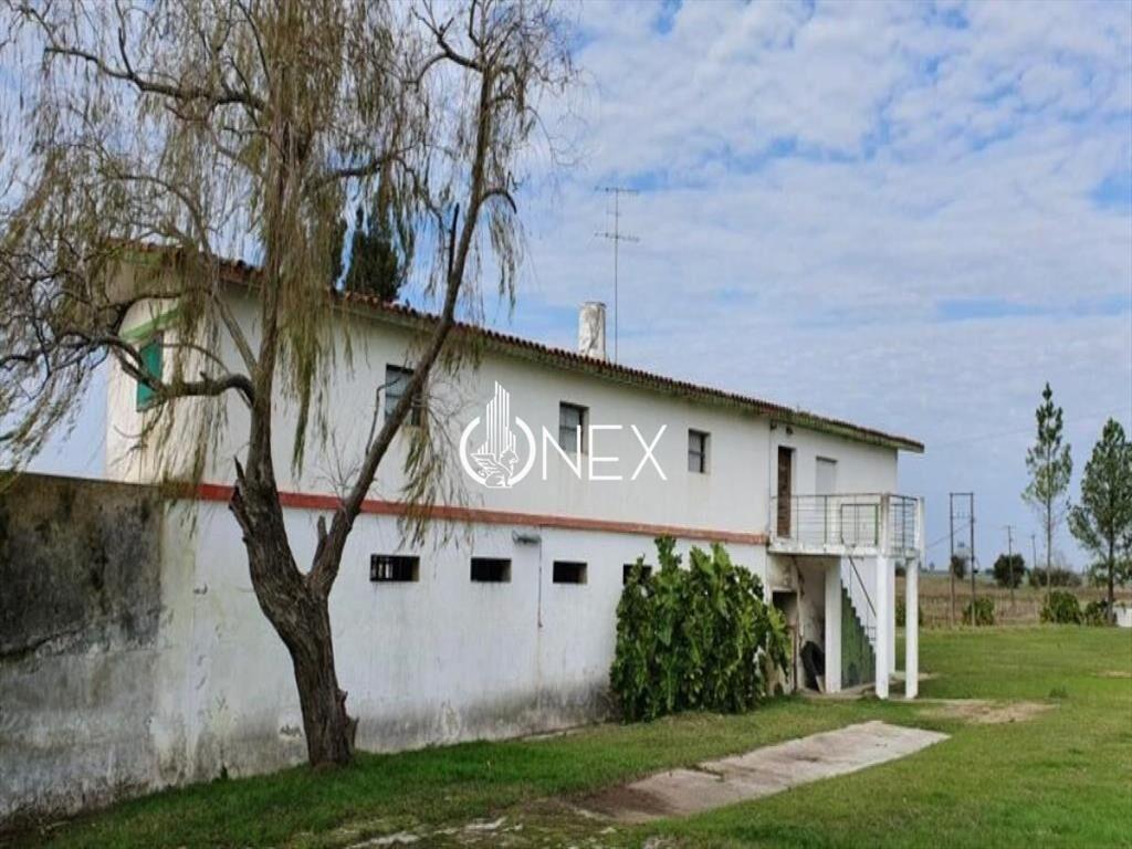 SE VENDE CAMPO AGRICOLA GANADERO EN SAN RAMÓN