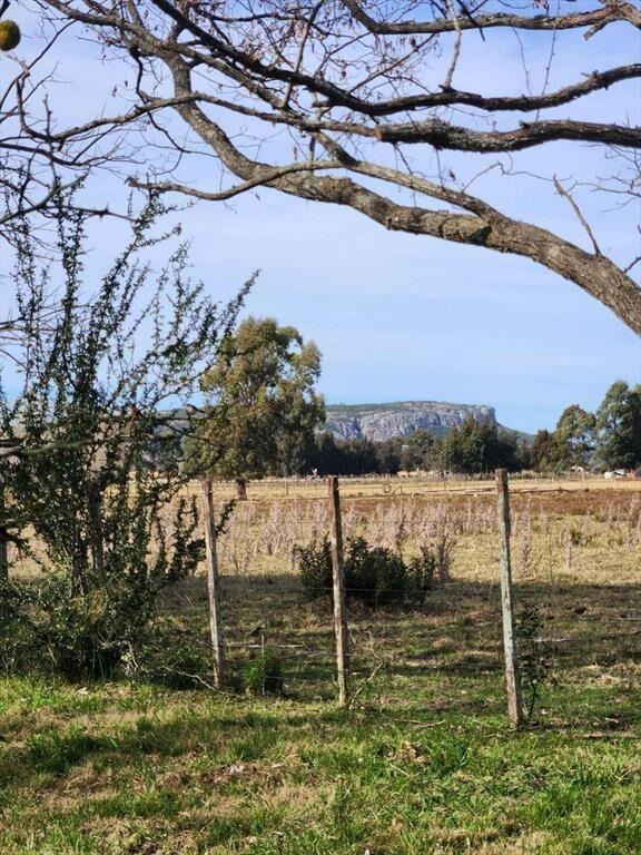 VENTA CAMPO 8ha establecimiento POZO AGUA, MINAS
