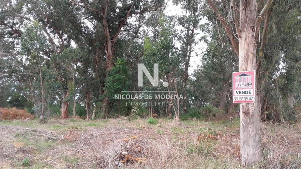 VENTA TERRENO EN SANTA MÓNICA