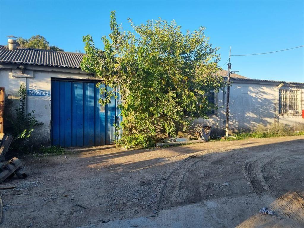 Proximo ruta 102 y Belloni, 500 m2 con cocina, baños y ofic