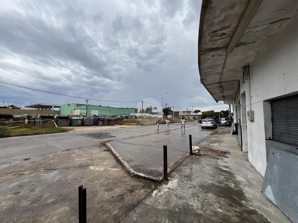 Local Comercial / Depósito