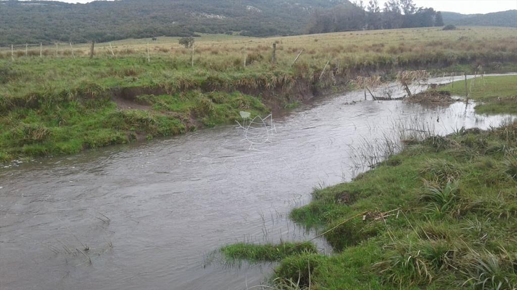 Campo en Lavalleja - 79 has con 8432 m2 -