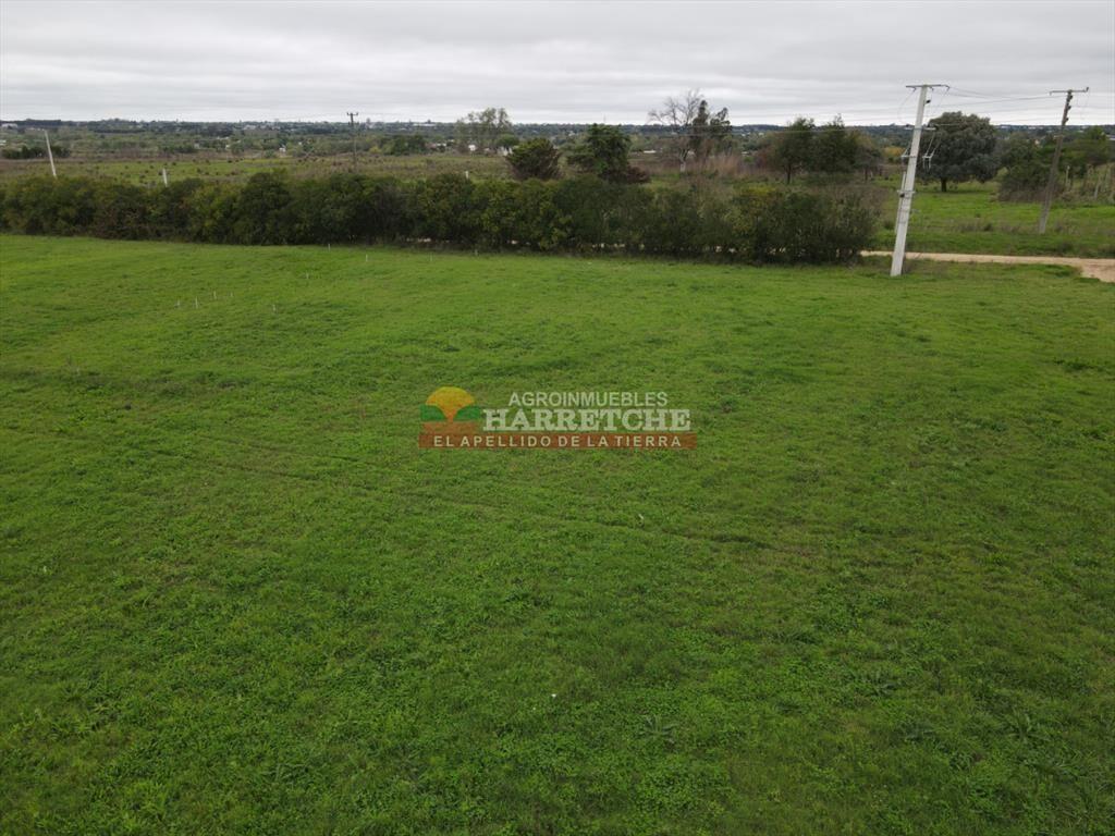 Terreno de 364 m2 en Progreso, Jardín de los (1)