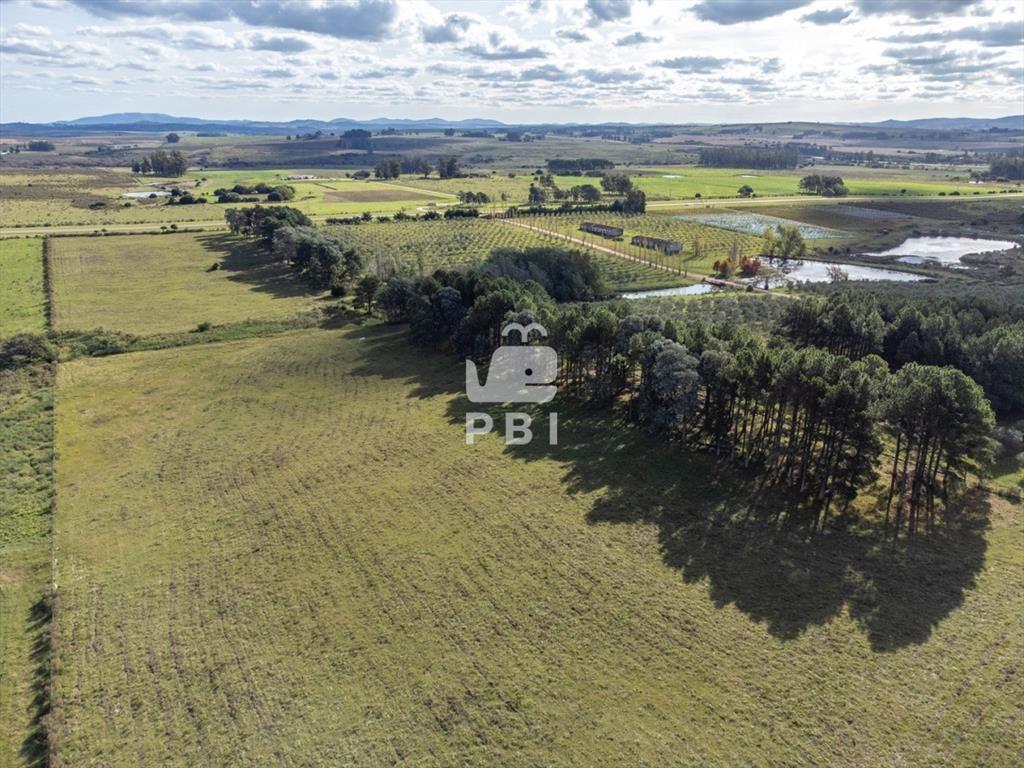 Chacra en venta en Laguna del Sauce, Punta - Ref