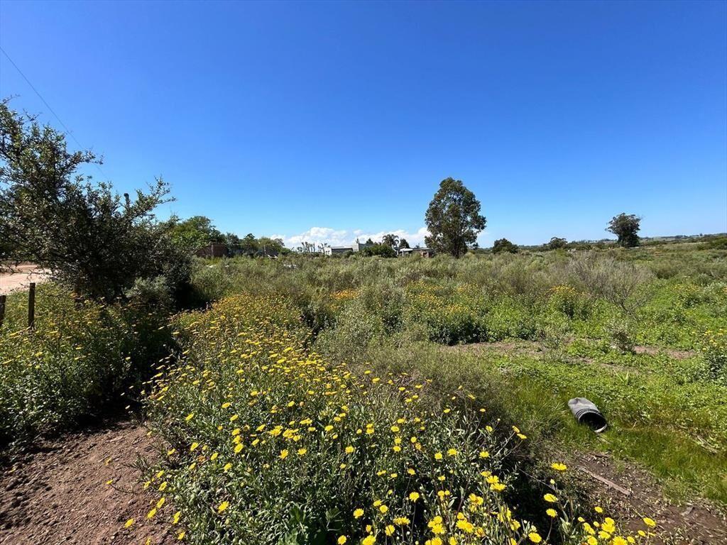 VENTA DE TERRENO SAN CARLOS MALDONADO