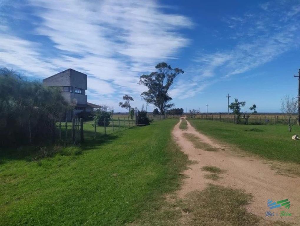 Campo Arrocero-Ganadero 1.636 Has sobre Ruta